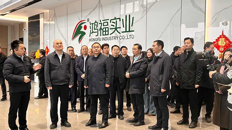 感受发展“加速度”，衡阳市领导深入衡山县重大项目麻豆电影AV免费观看实业现场